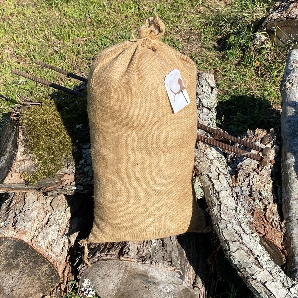 Raw Cotton - Picture 4 of 4